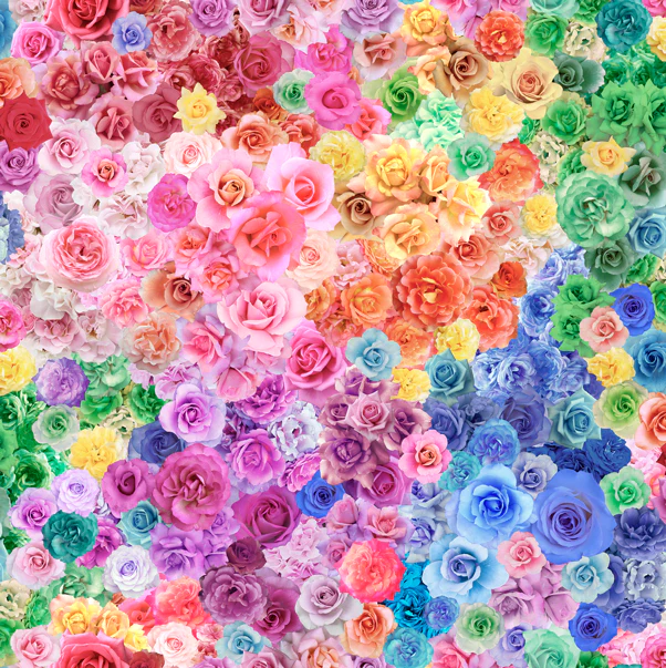 FANTASY Roses Gradients Parfait for Moda