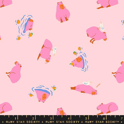 COTTON CANDY, Capybara From Animal Animal, A Collaborative Collection for Ruby Star Society