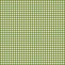 Spring Green Basic Check by Maywood Studio Collection