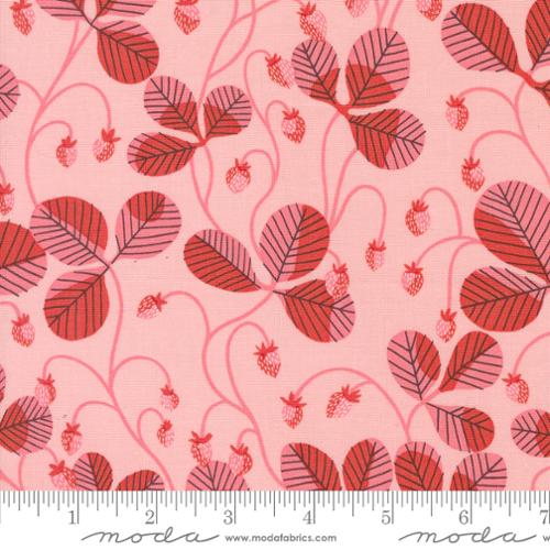 LIGHT PINK Virginia from Love Letter by Lizzy House, Moda Fabrics