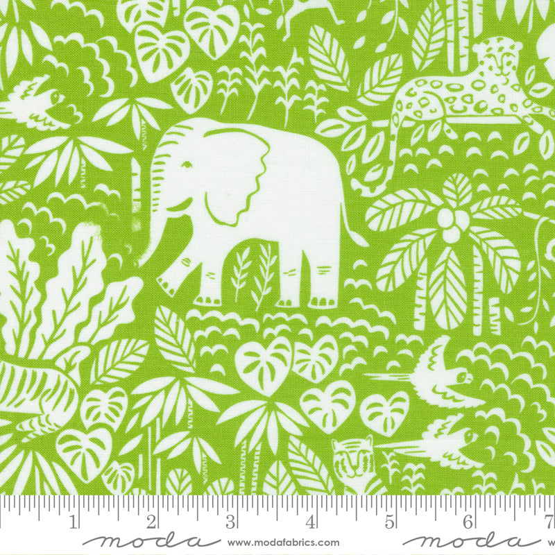 SEEDLING Animals, Jungle Paradise by Stacy lest Hsu, Moda