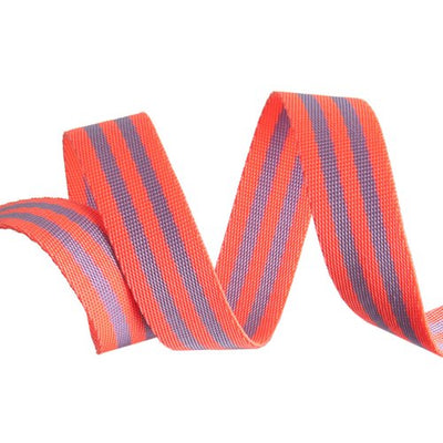 1" Striped Nylon Webbing from Tula Pink (2 yards)