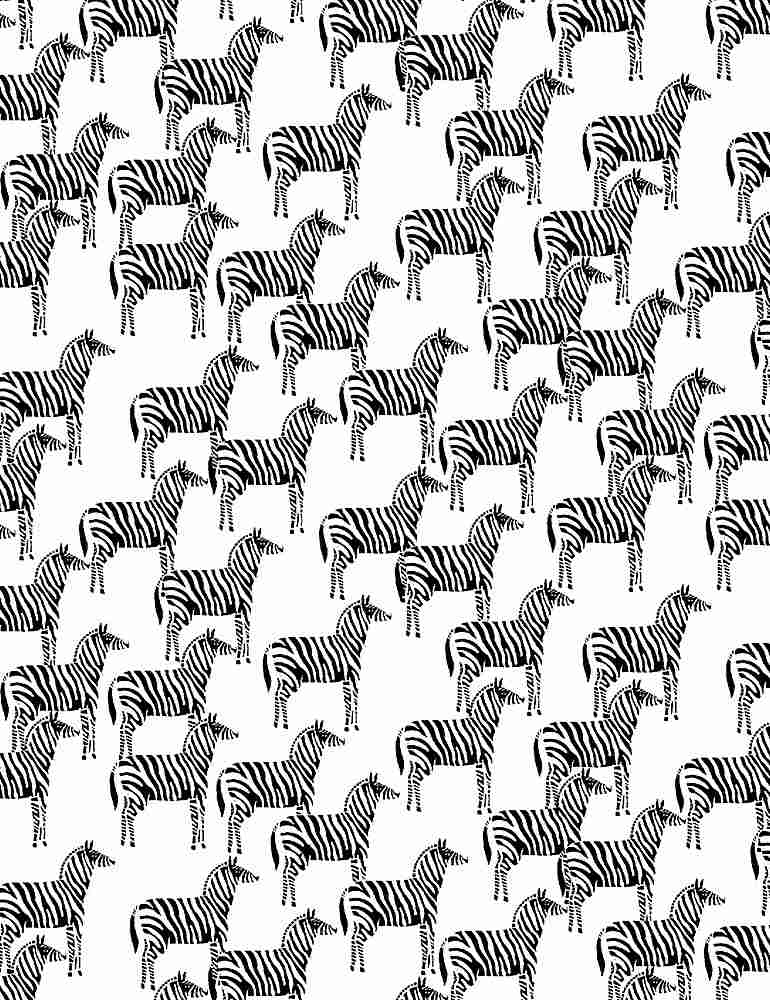 WHITE Zebra, ABC Menagerie by Wee Gallery, Dear Stella