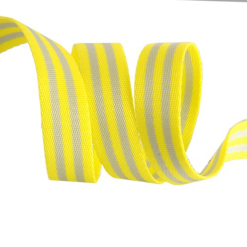 1" Striped Nylon Webbing from Tula Pink (2 yards)