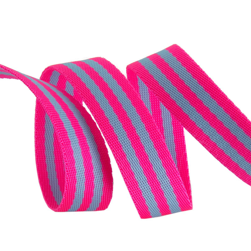 1" Striped Nylon Webbing from Tula Pink (2 yards)